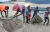 Someshwara Uchila fishermen catch huge Ray Fish
